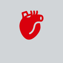 Herz, Kreislauf & Gefäße
